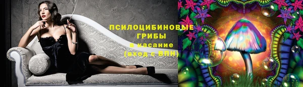 прущая мука Приозерск