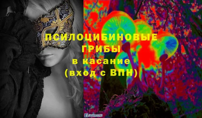 Псилоцибиновые грибы Magic Shrooms  Шарыпово 