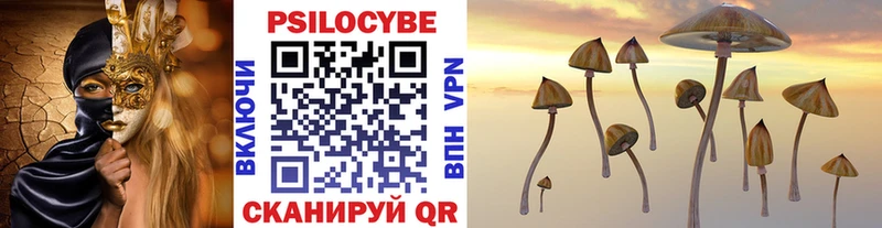 Галлюциногенные грибы Psilocybe Шарыпово
